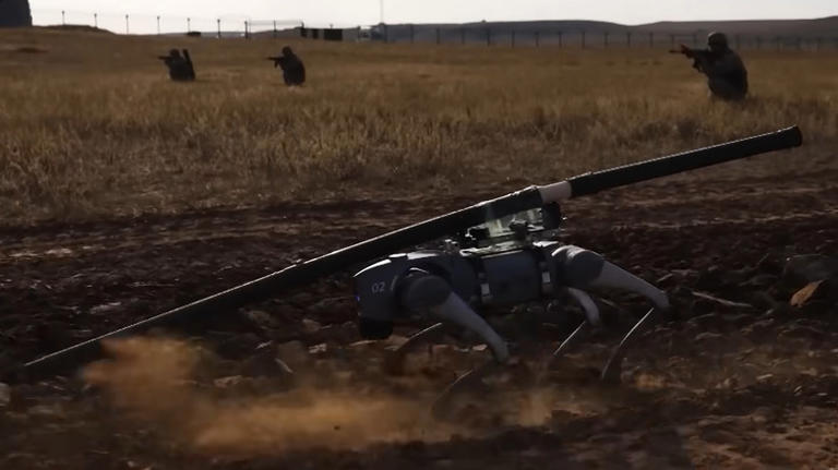China is using predators to train their new AI weapons - here's why