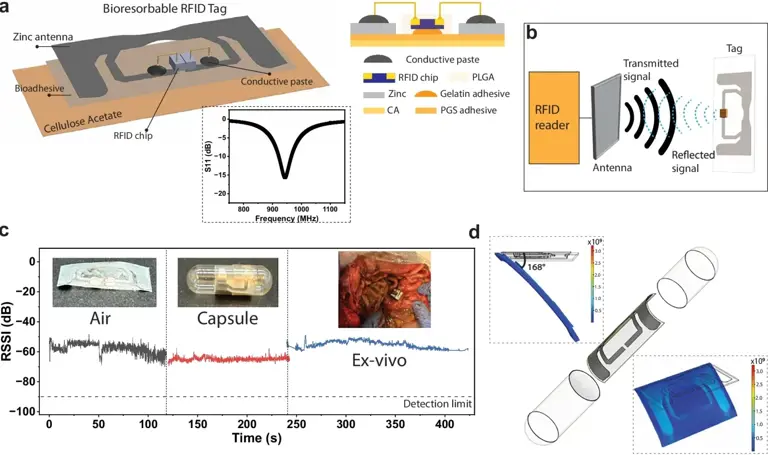 MIT scientists create pill capsule sensor to help doctors track missed ...