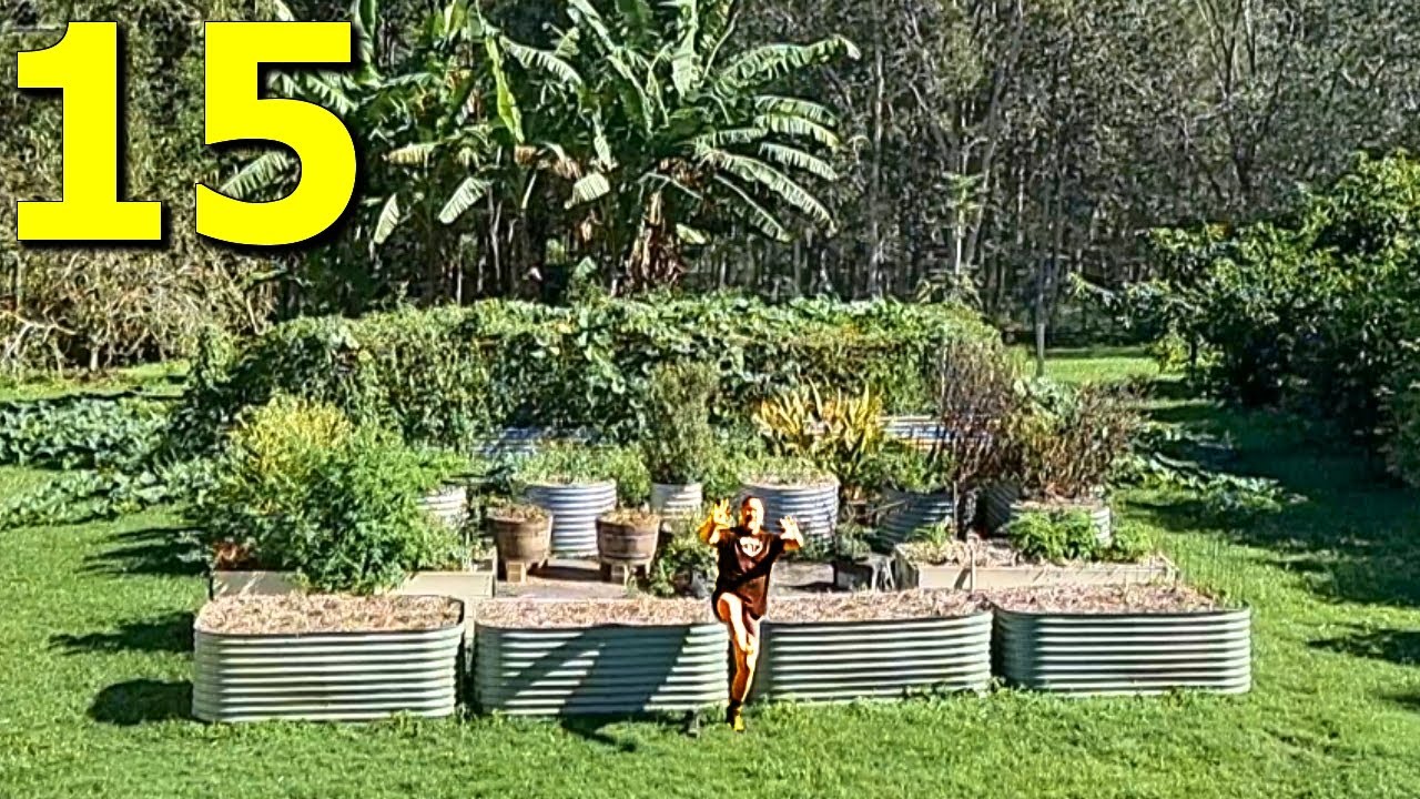15 expert food gardening tips for success | Mark’s self sufficient ...