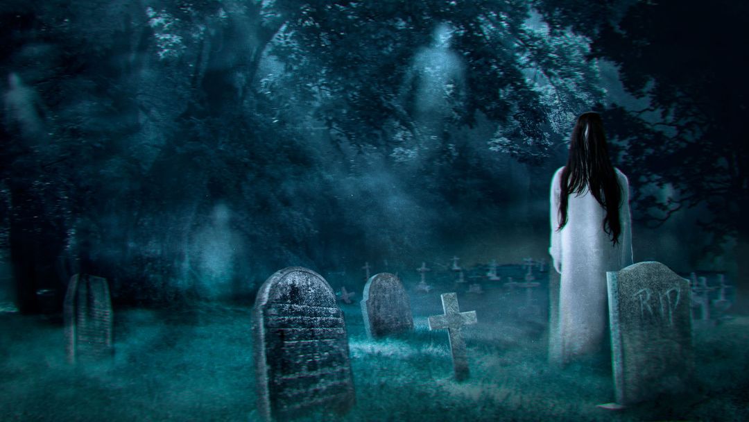 Exploring life after death