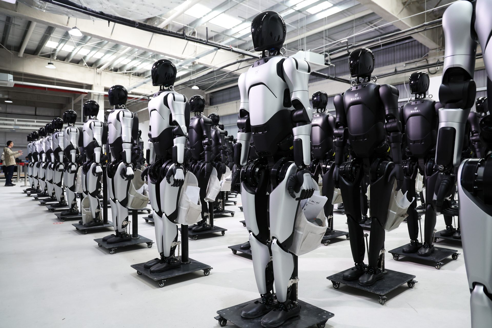 Humanoid robots?