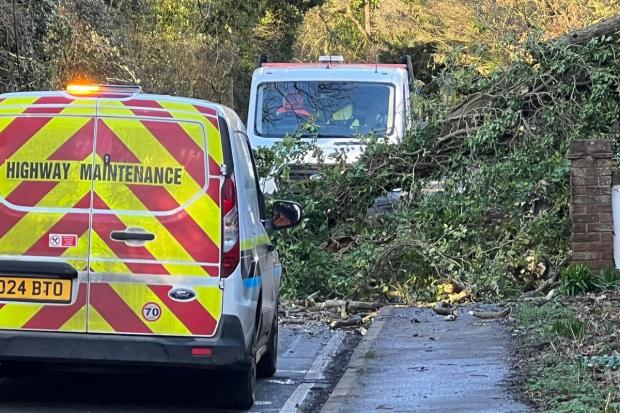 Road near Reading closed as police tackle fallen tree