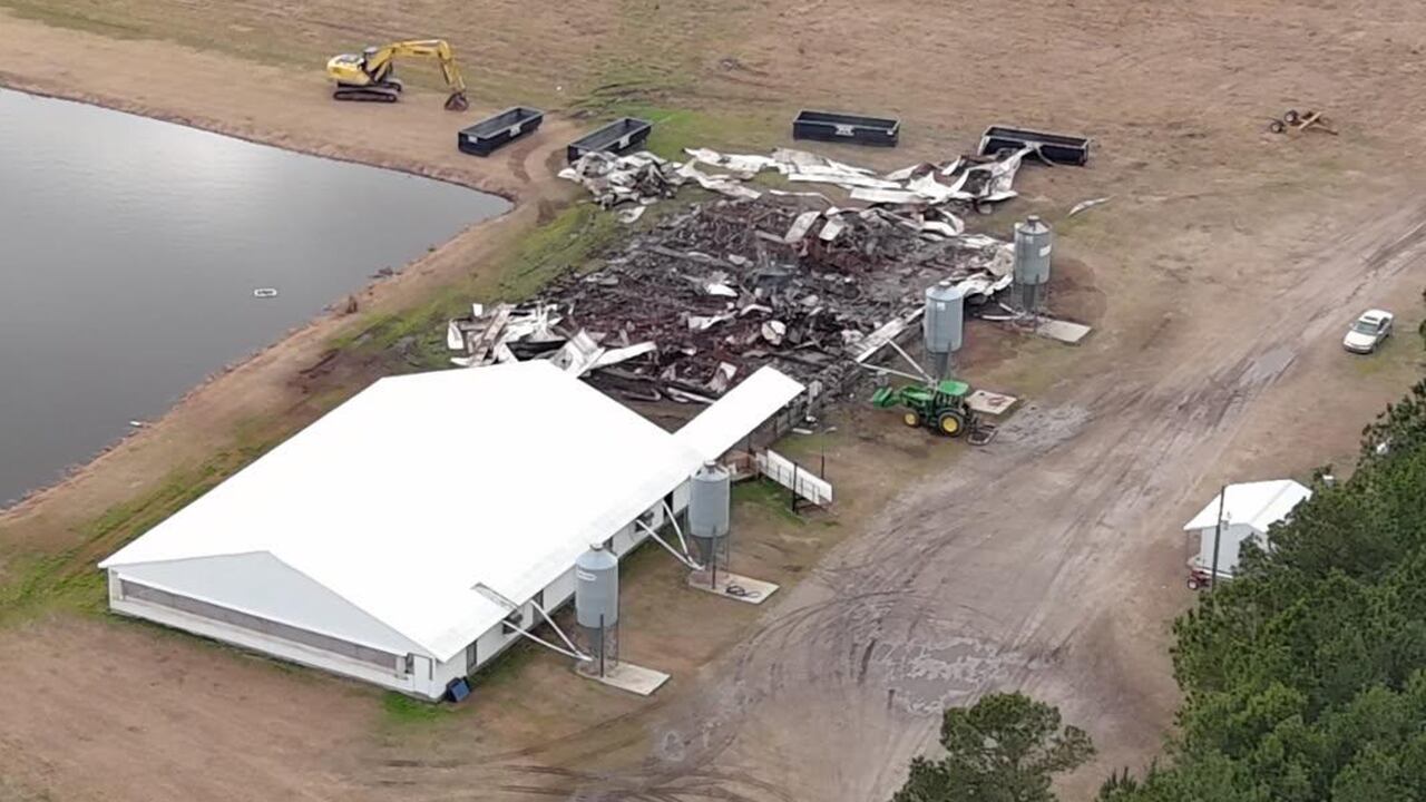 More than 1,300 hogs killed in Onslow County farm fire