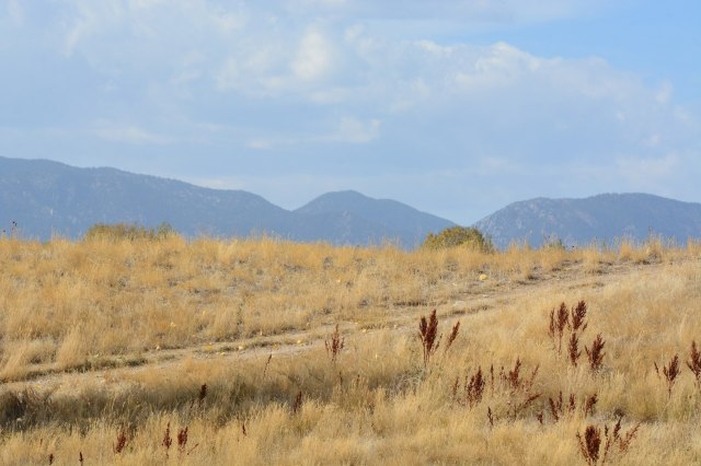 Experts issue warning as impending crisis threatens major US region: 