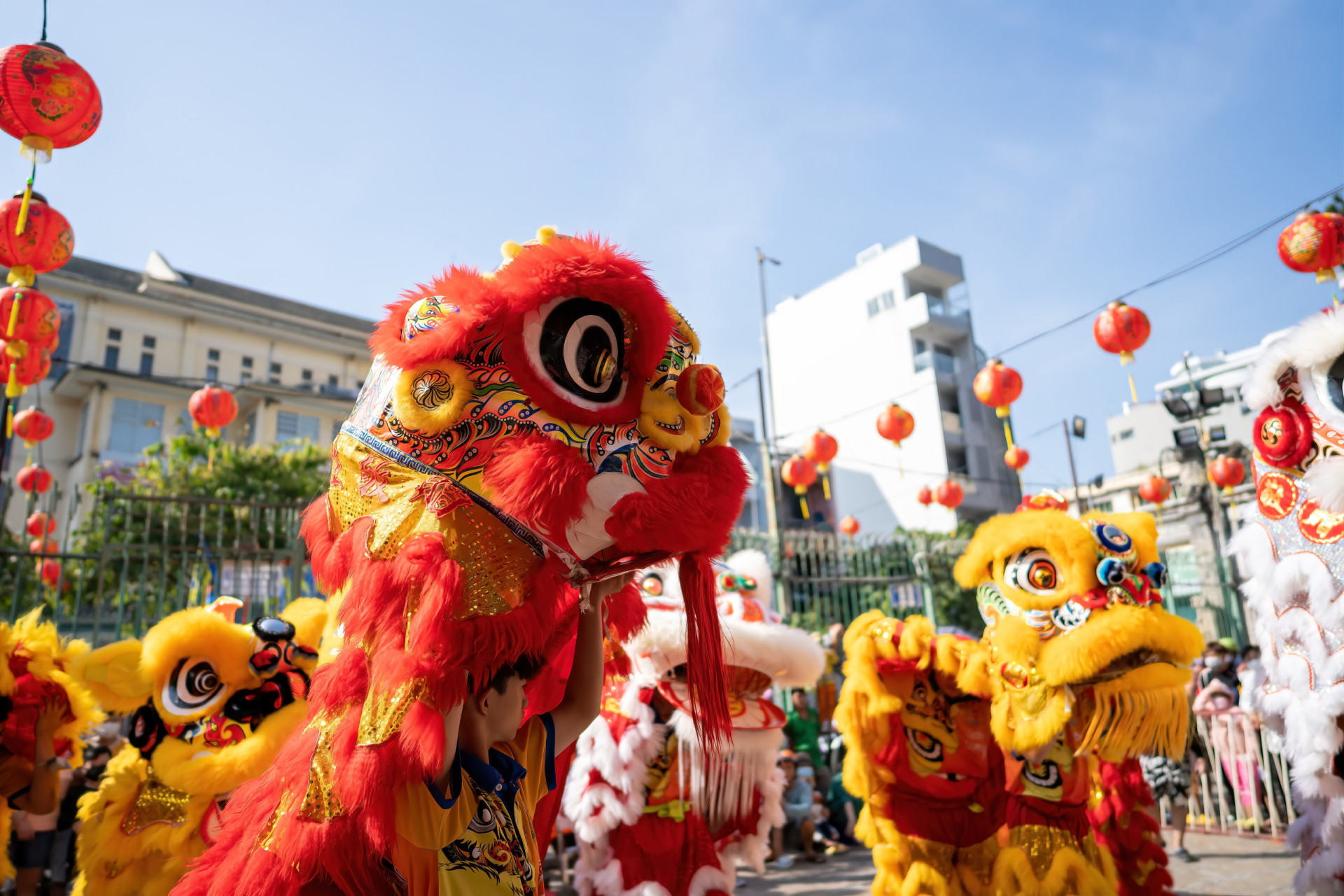 Exploring the rich traditions of Lunar New Year