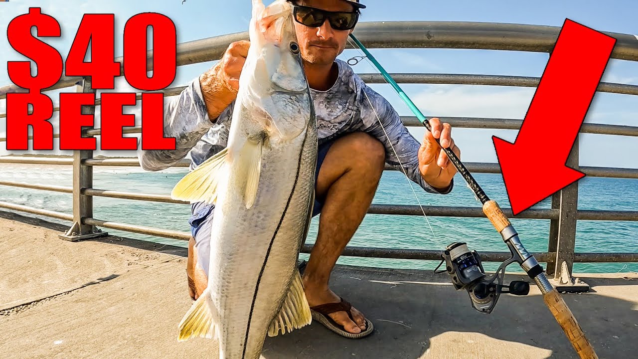 Can a $40 fishing reel catch dinner fish?