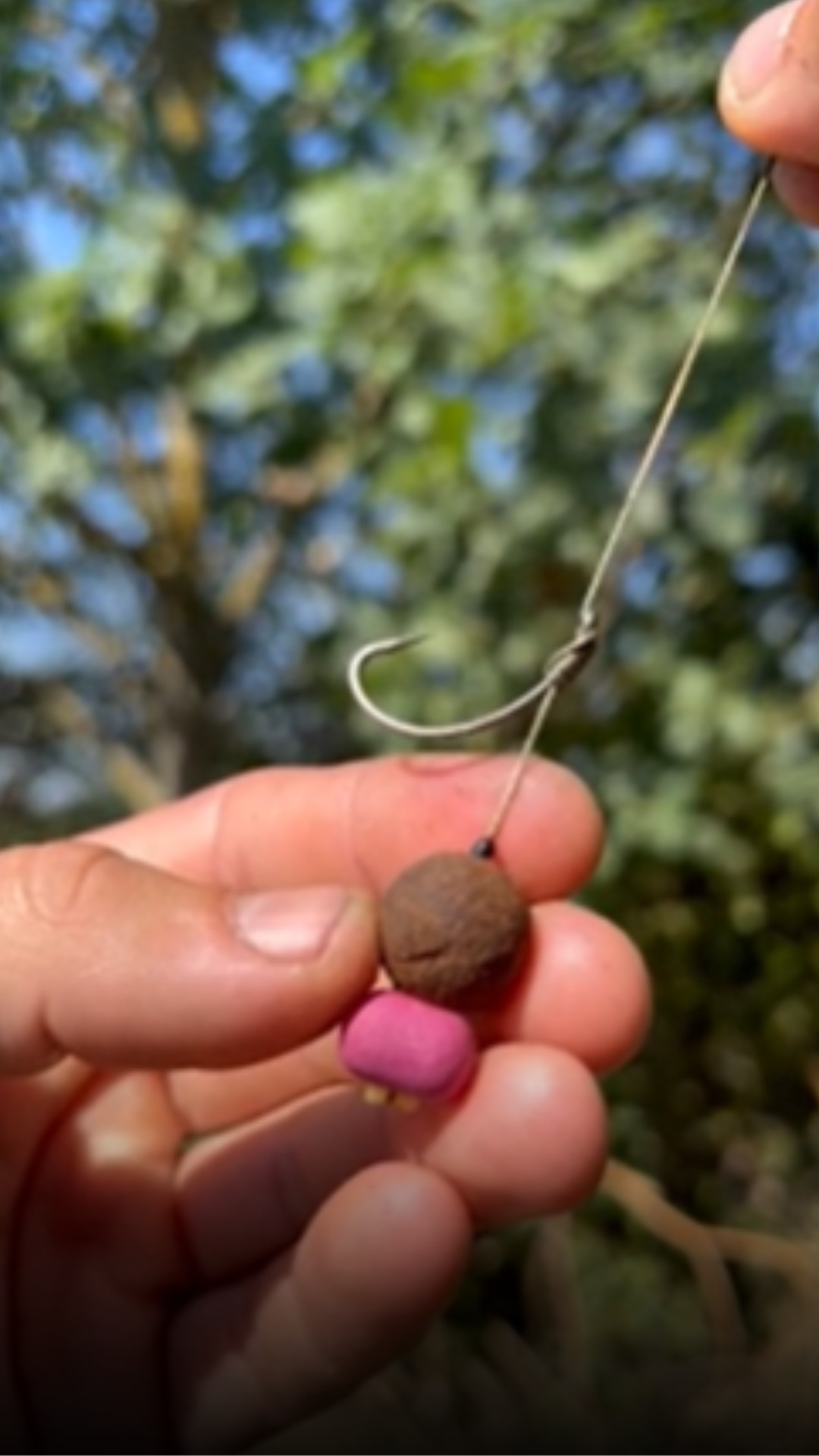 Catch the biggest fish: Top carp rig tips for your next fishing trip