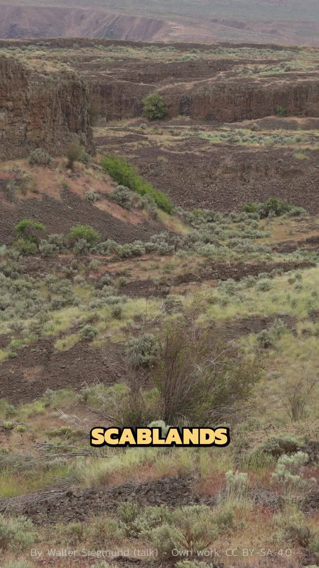 One massive event created polar opposites