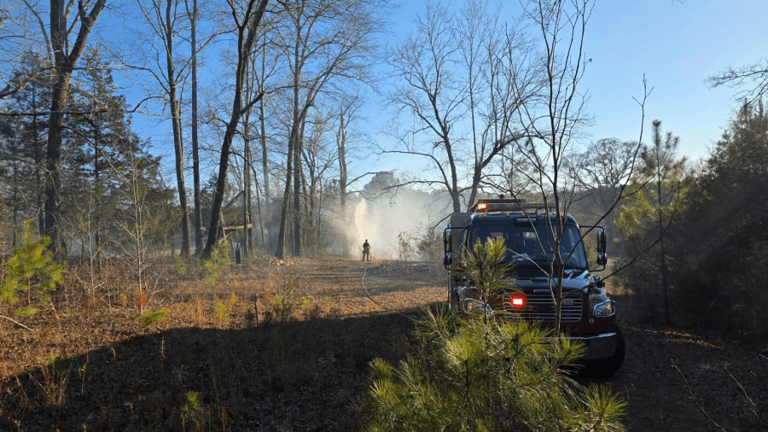 Recent brush fires surge as fire officials warn of dry, windy conditions