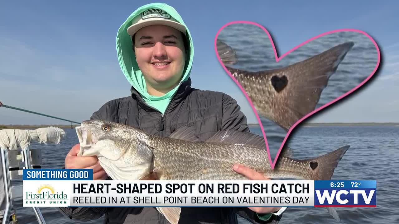 Something good: Angler lands heart-marked redfish at Shell Point Beach