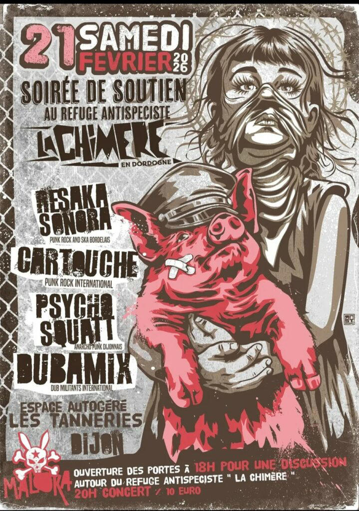 Soirée Maloka le 21 février : du punk et du ska pour les animaux à Dijon