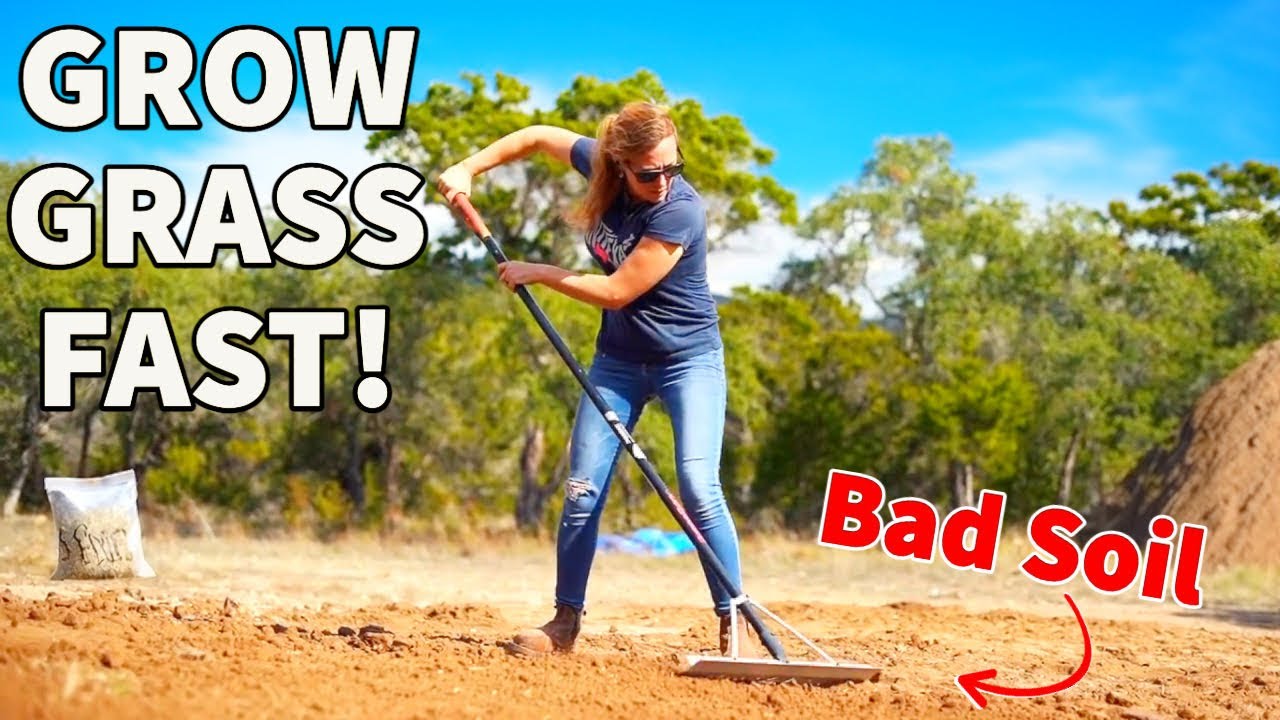 How to grow grass and fix bare spots fast