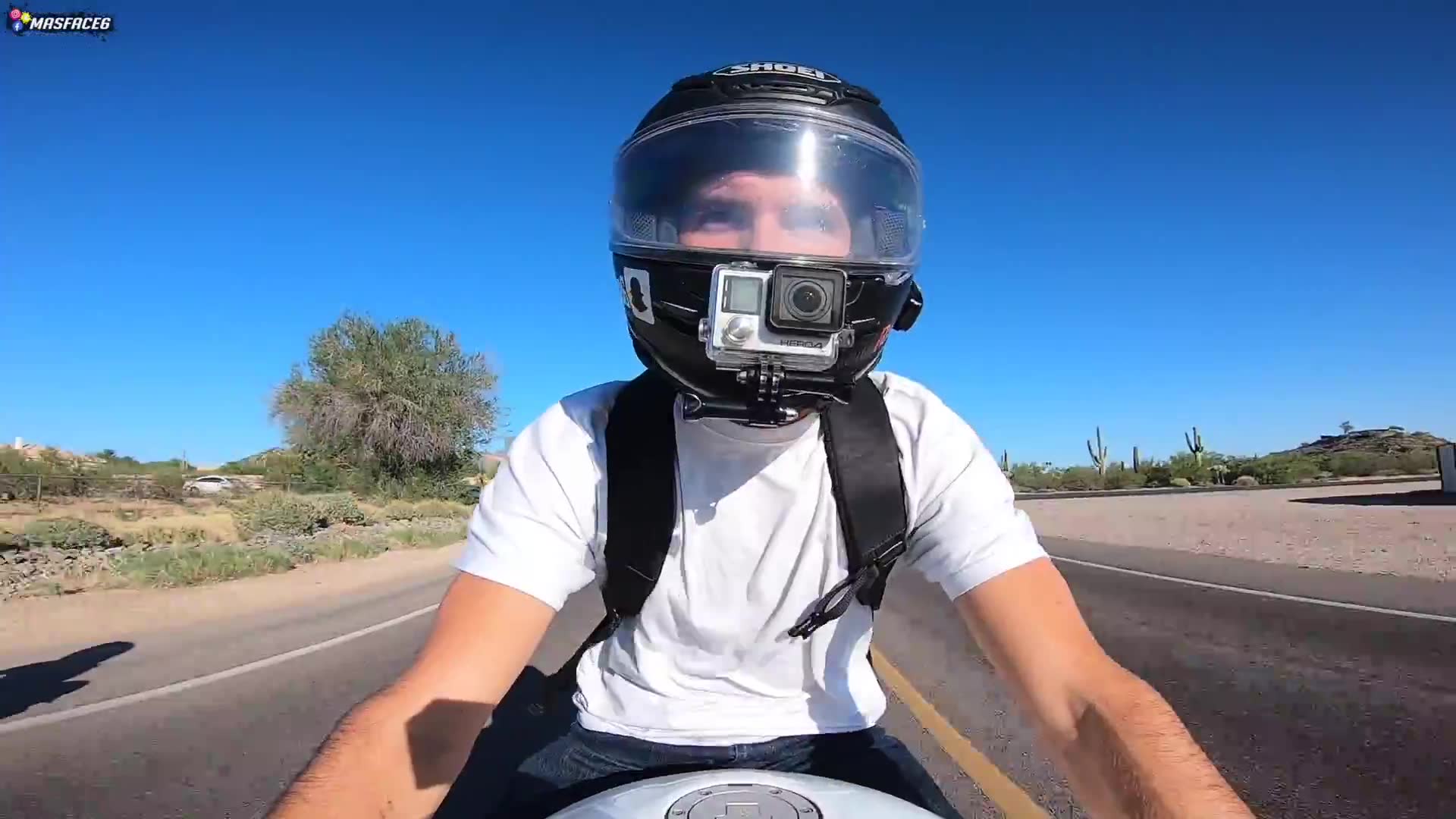 Encountering huge tarantula spider crossing street during desert ride