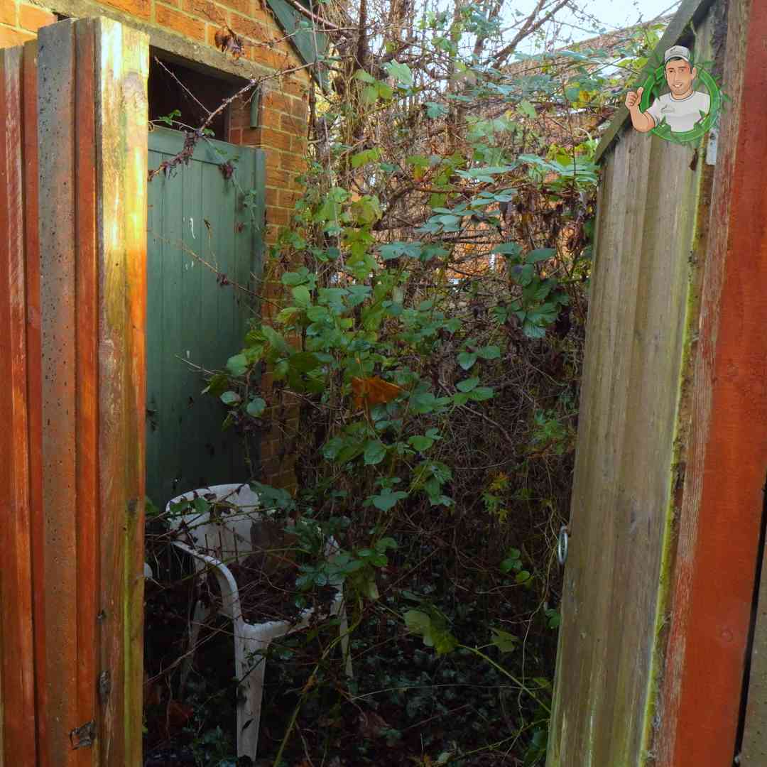 Woman trapped in her own garden by six-foot brambles
