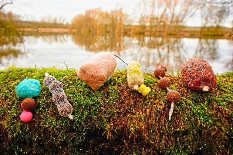 20 carp tips you have to try to catch more fish