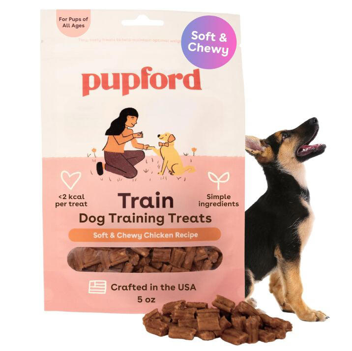 New puppy checklist: Everything you need before bringing your pup home