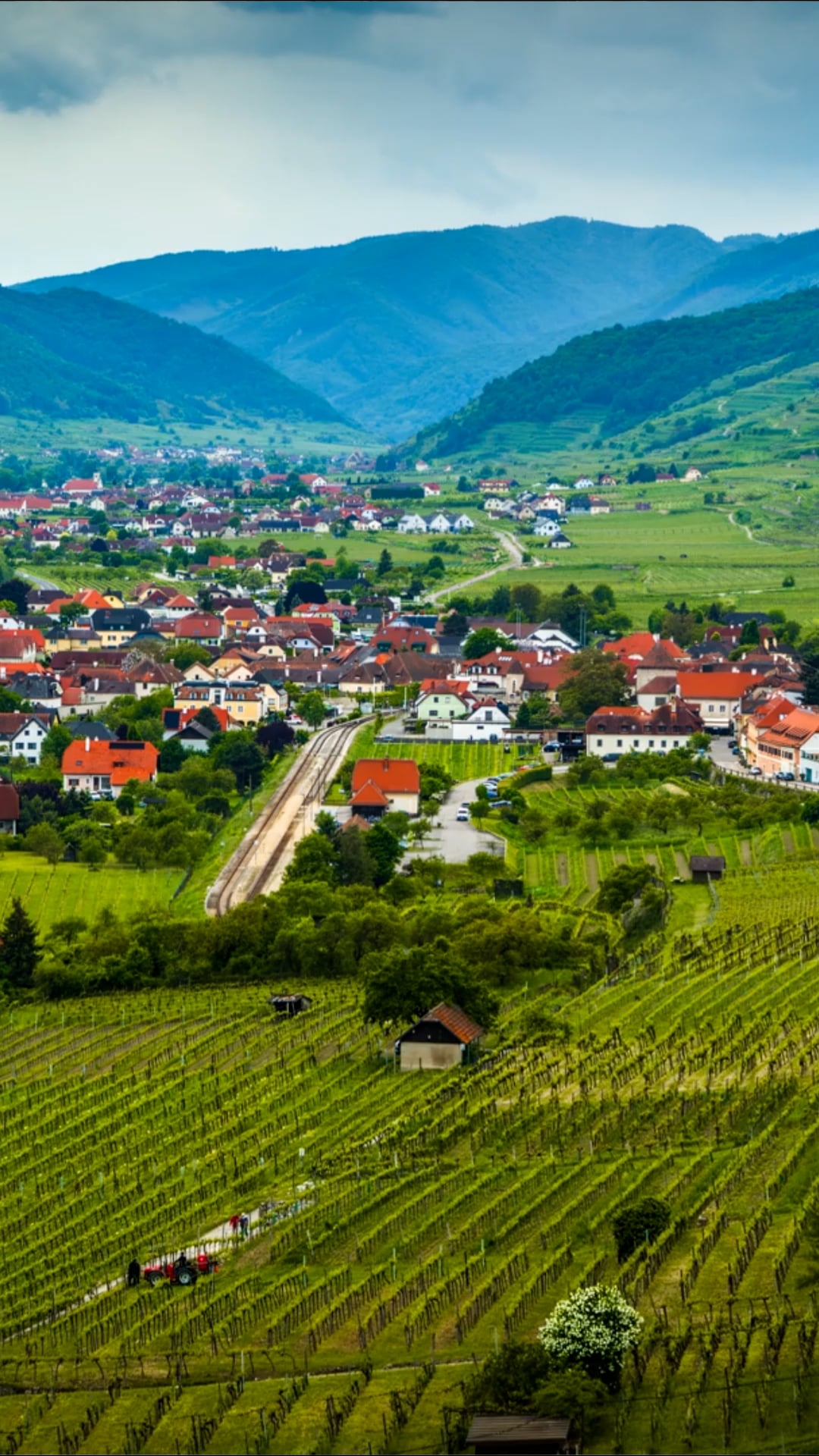 Wachau Valley, Austria: Drone discovers Danube’s vineyards and fortresses