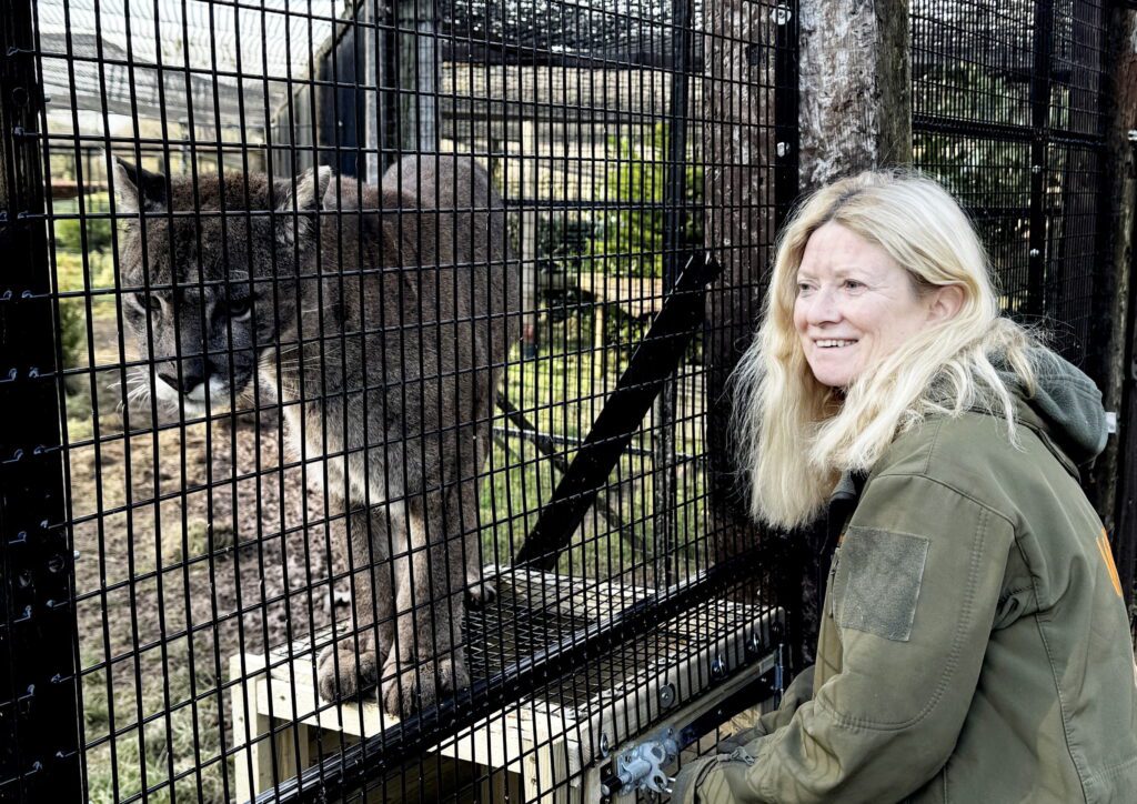 Boom in exotic animals being sold on TikTok, Facebook and Instagram as pets