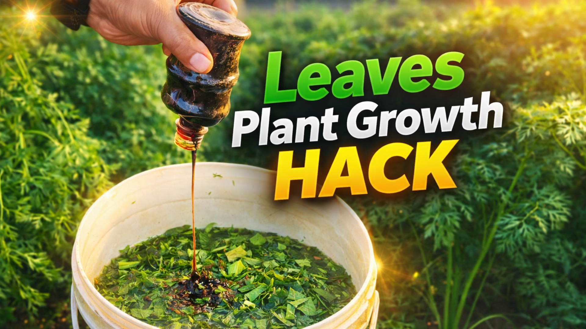 Garden hack: Using vegetable leaves to improve your plants
