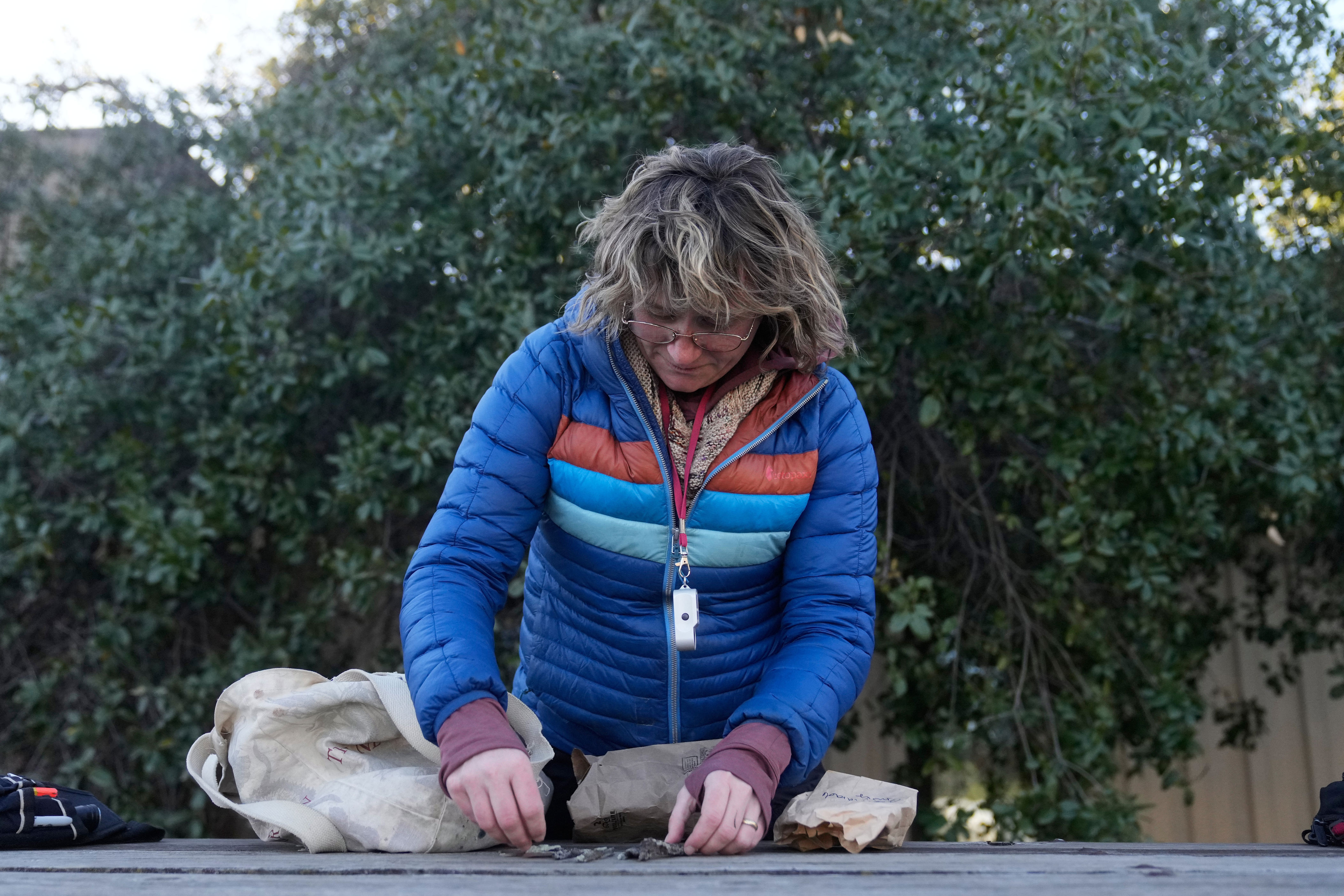 Jessica Allen, of the California Lichen Society, arrange lichen found during a CALS field trip (Copyright 2026 The Associated Press. All rights reserved)