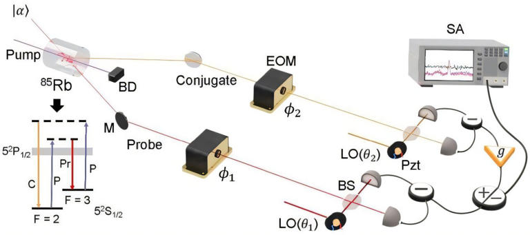 Quantum sensor research advances the pursuit of dark matter