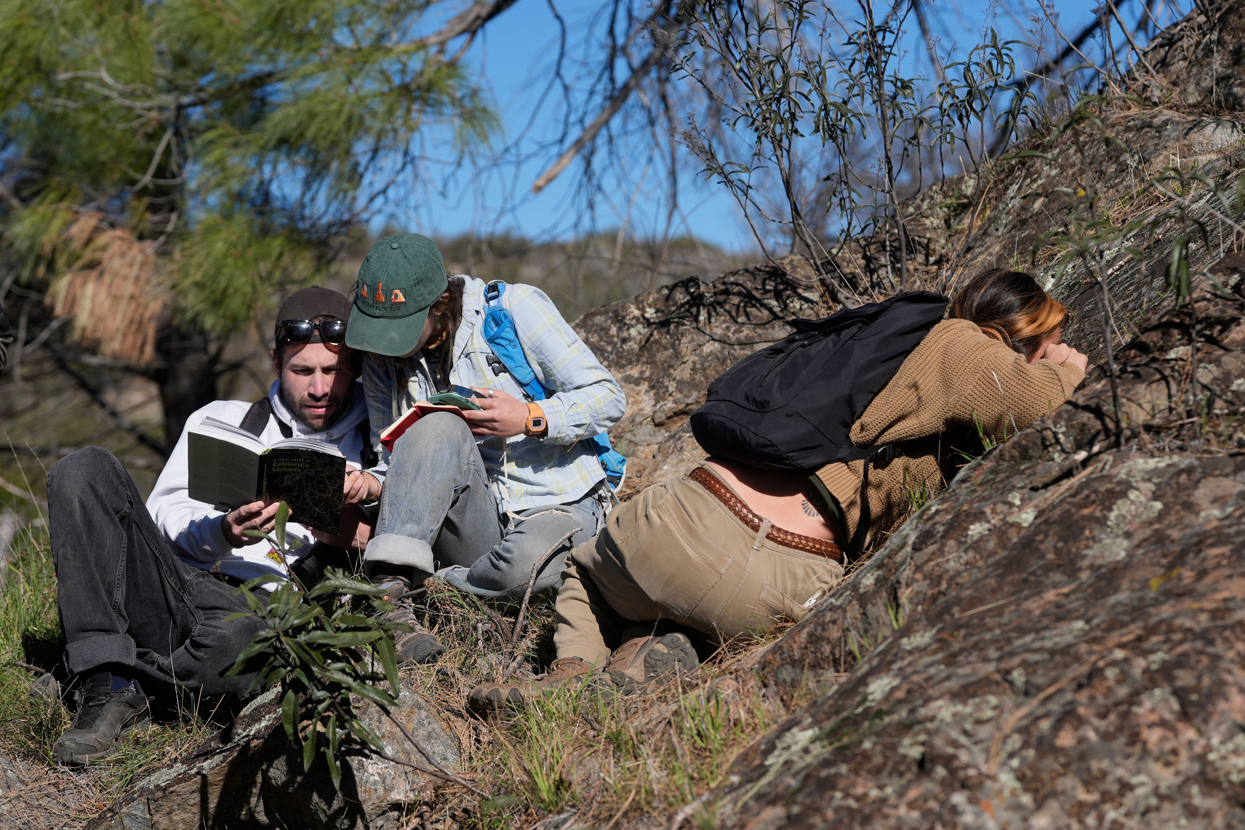 University of California, Berkeley students Daniel Clarke, left, Natalia Rovira and Sarah Campbell take part in a California Lichen Society field trip at the University of California (Copyright 2026 The Associated Press. All rights reserved)