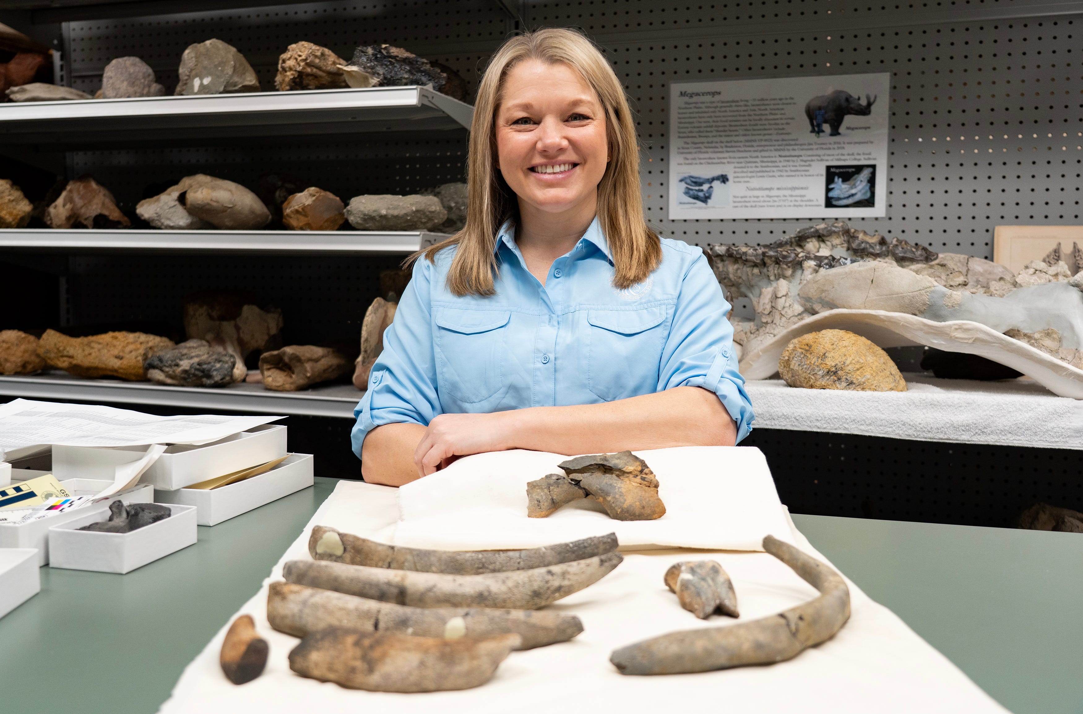 Bone of dugong, 30 million years old, found in Mississippi. What's a ...