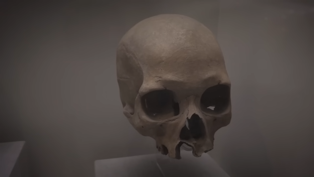 What will humans look like in 1,000 years?