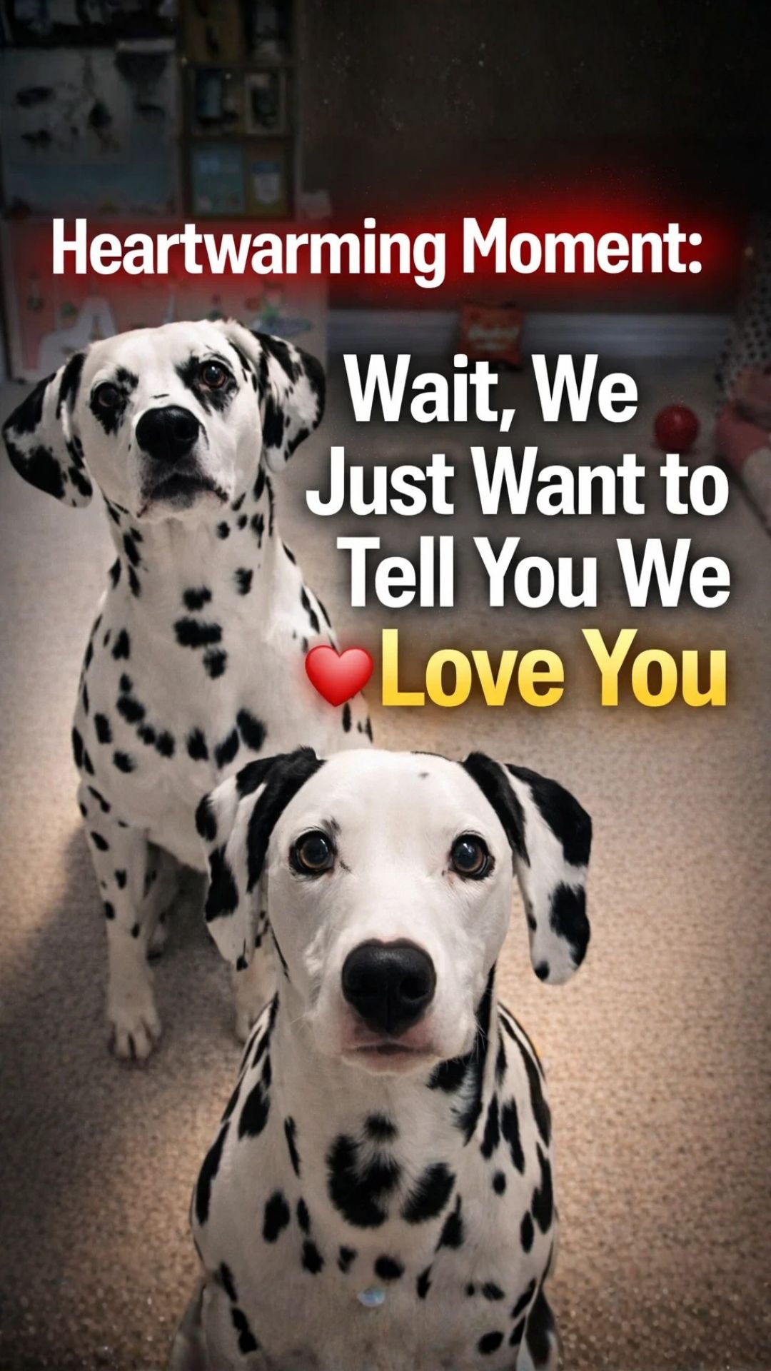 Heartwarming moment, wait, we just want to tell you we love you