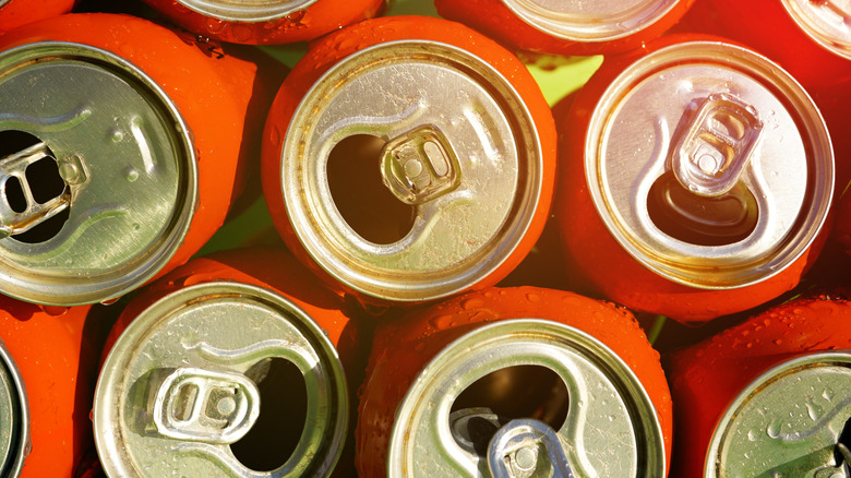 Reuse aluminum cans to add whimsical decor to your yard
