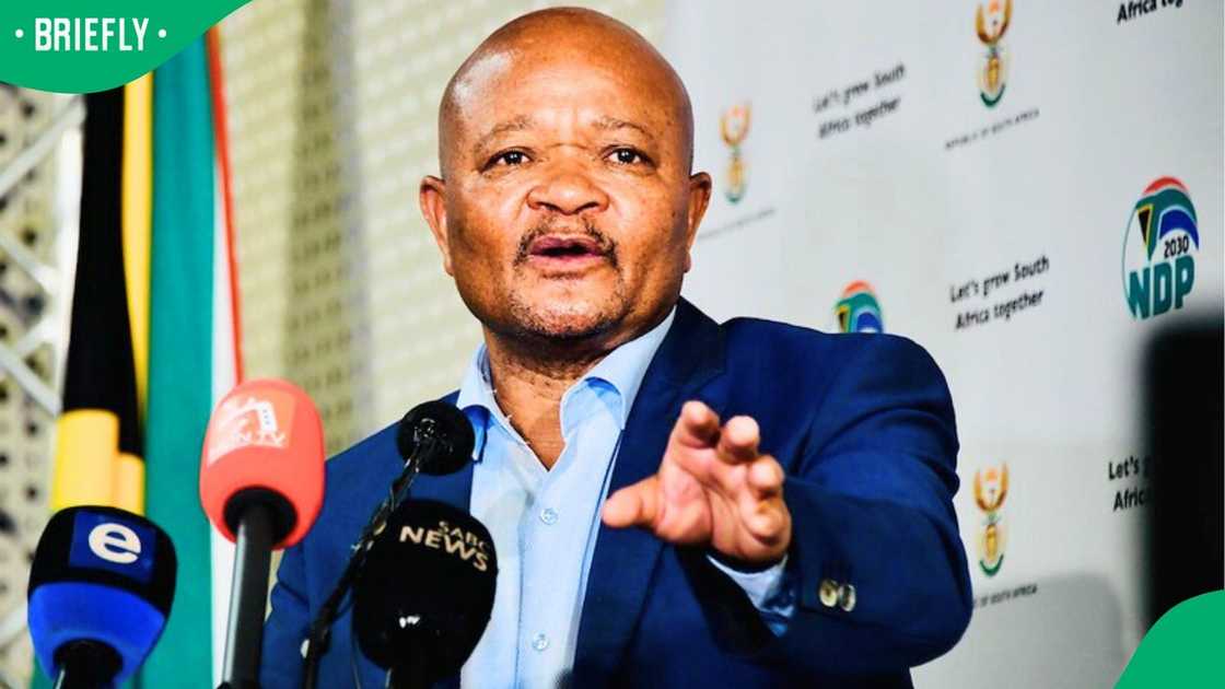 Brown Mogotsi agrees to appear before Parliament's Ad Hoc Committee in  person, South African amused