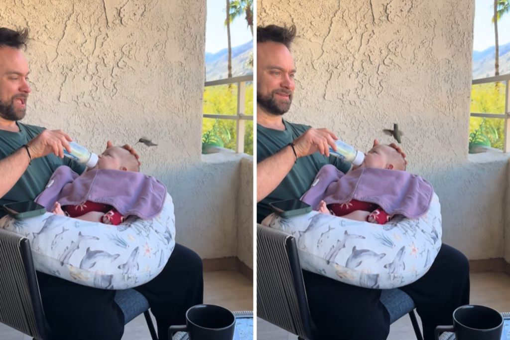 Dad bottle-feeds baby, not prepared for unexpected visitor—