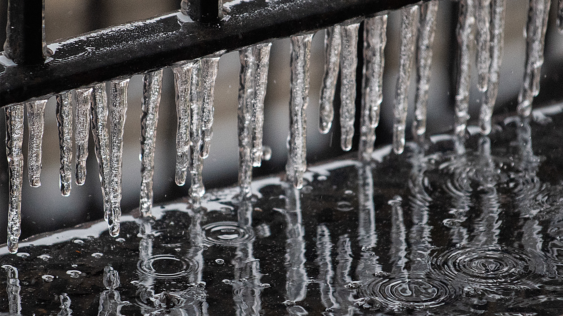 Ontario braces for messy mix of freezing rain and snow