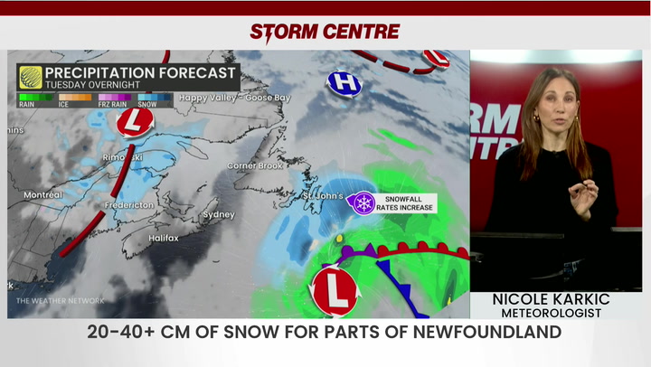 Dangerous winter storm to bring 20-40 cm of snow to Newfoundland