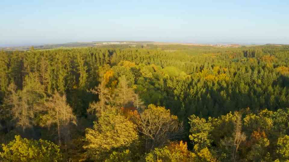 Medieval justice was swift and brutal - here's what it looked like