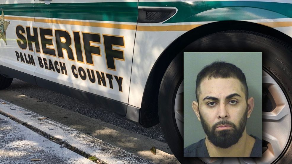 Florida man accused of punching, choking K-9 after fleeing deputies