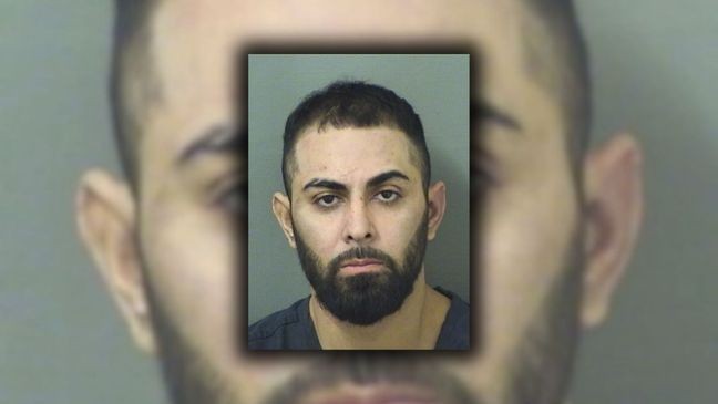 Florida man accused of punching, choking K-9 after fleeing deputies