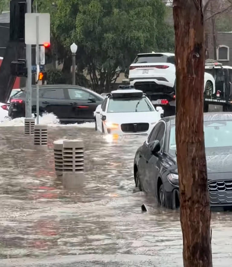 Waterlogged Waymos get stranded in LA flooding: 'Hopefully nobody inside'