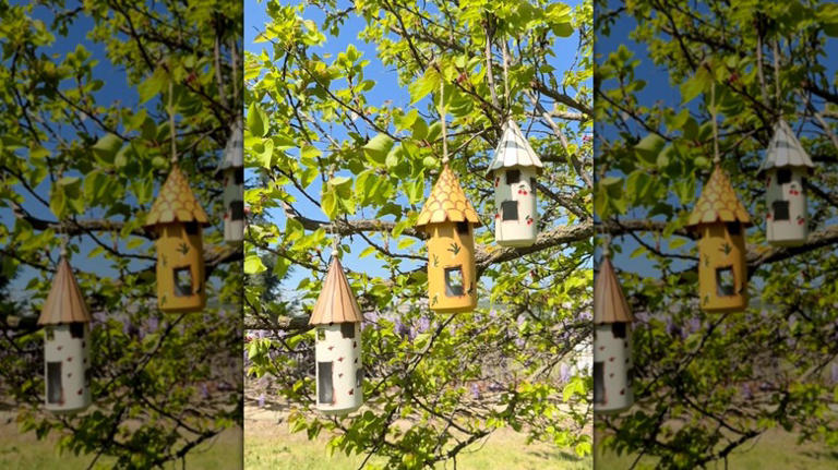 Reuse aluminum cans to add whimsical decor to your yard