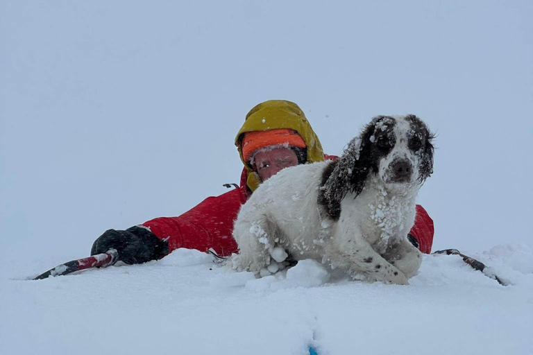 Dog that fell through snow rescued after freezing night on Highlands