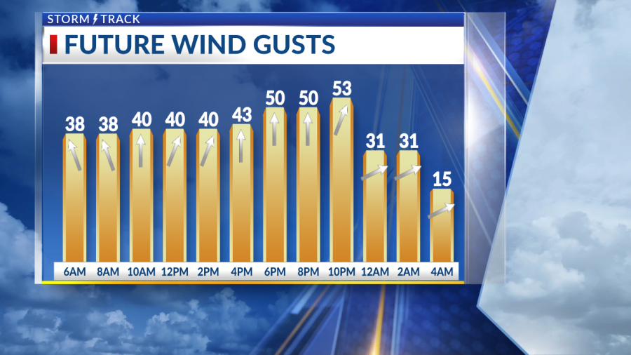 Windy and dry conditions bring very high fire danger