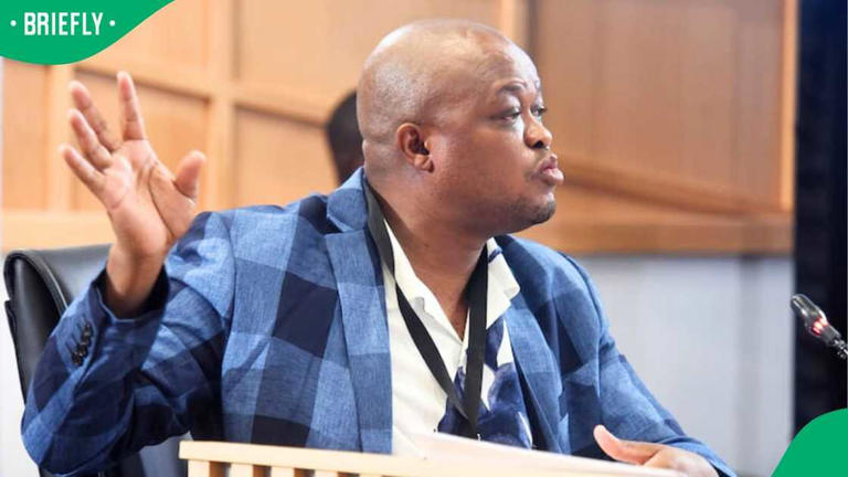 Brown Mogotsi agrees to appear before Parliament's Ad Hoc Committee in  person, South African amused