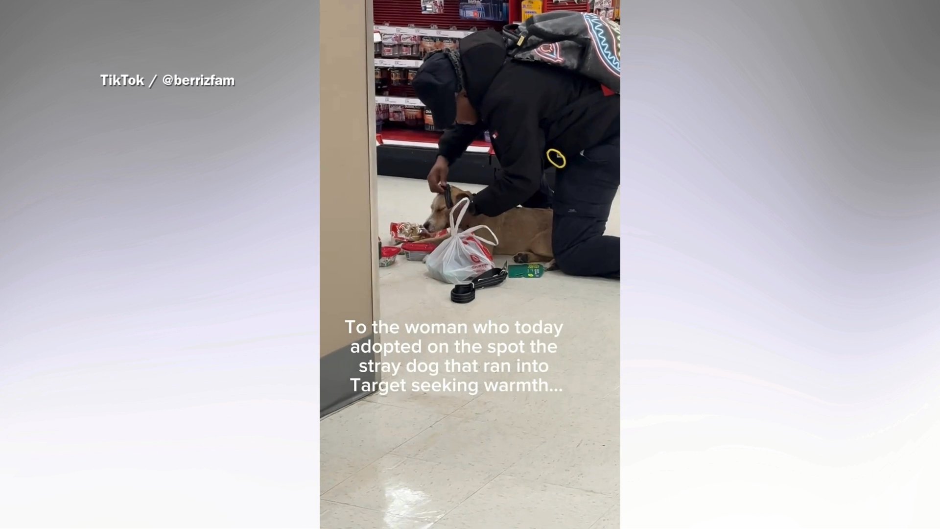 Tears as stray dog runs into Target-is ‘adopted on the spot’