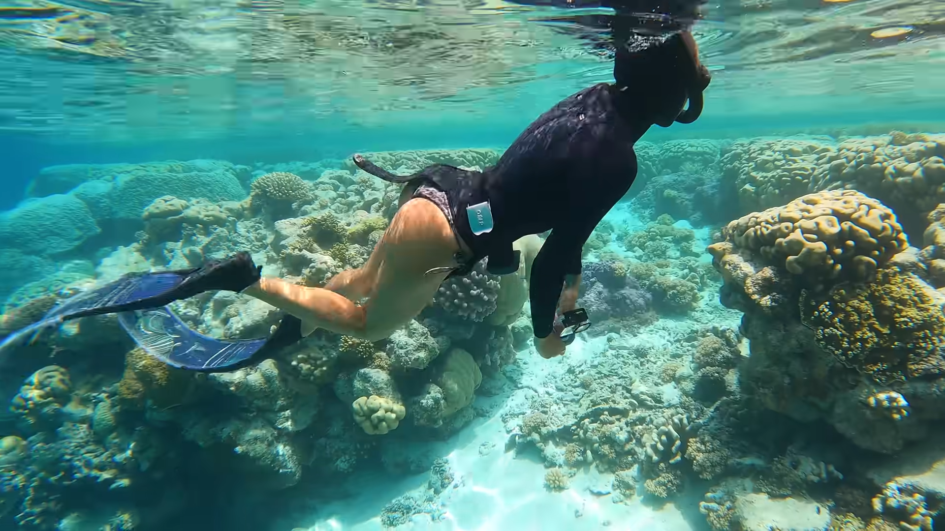 Surviving on a tropical island by catching and cooking fish in a ...