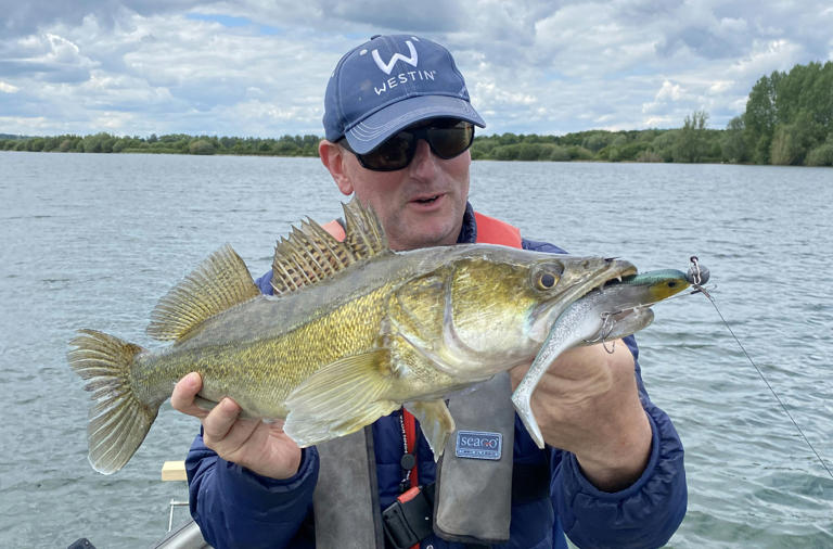 Bait and lure tips for catching zander