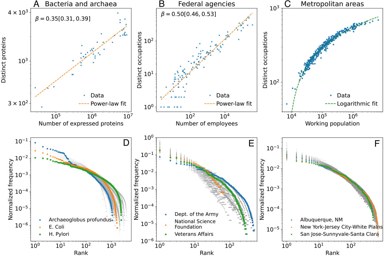 From cells to companies: Study shows how diversity scales within ...