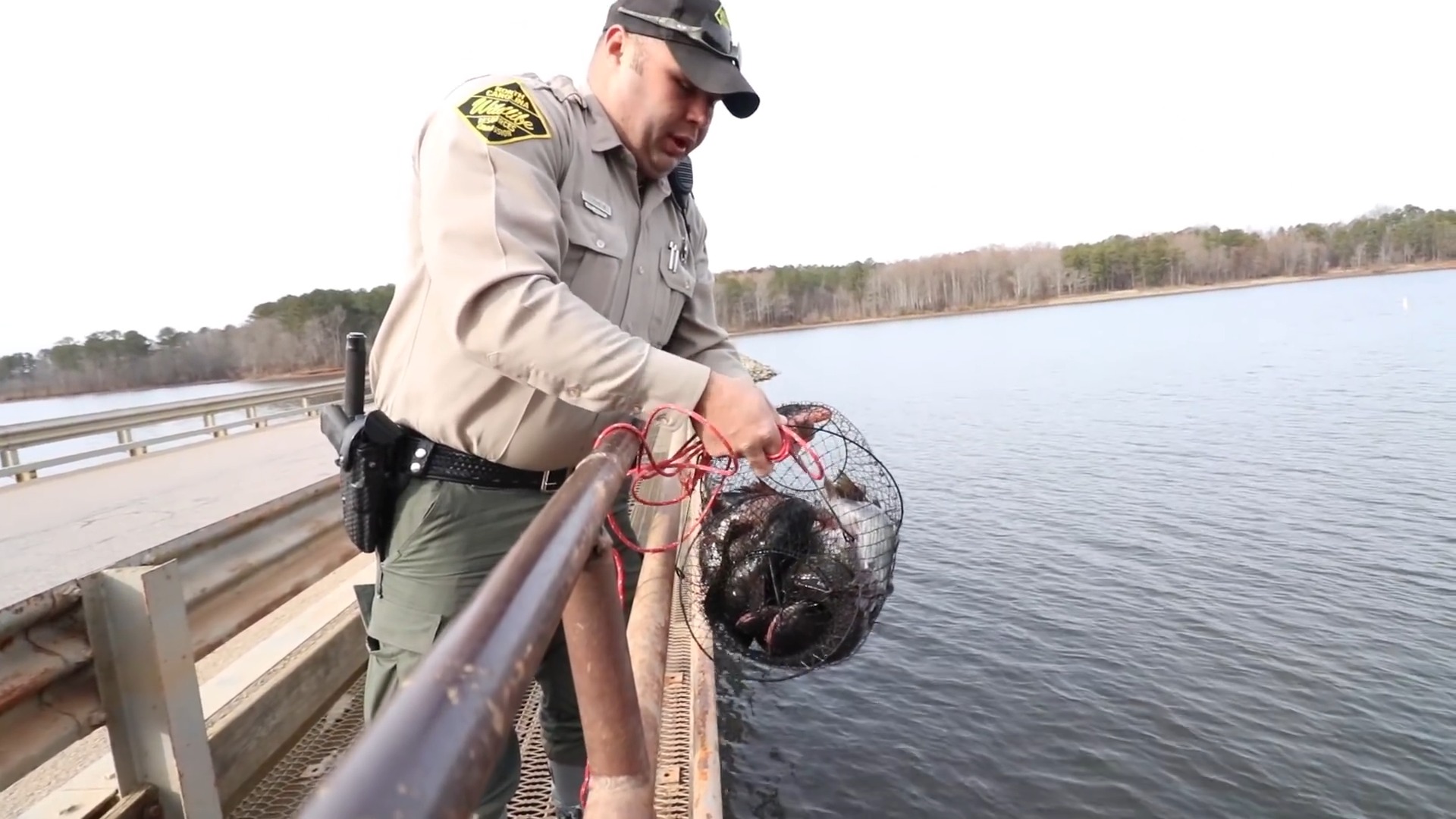 We thought it was dangerous… police came - then we saved a fish
