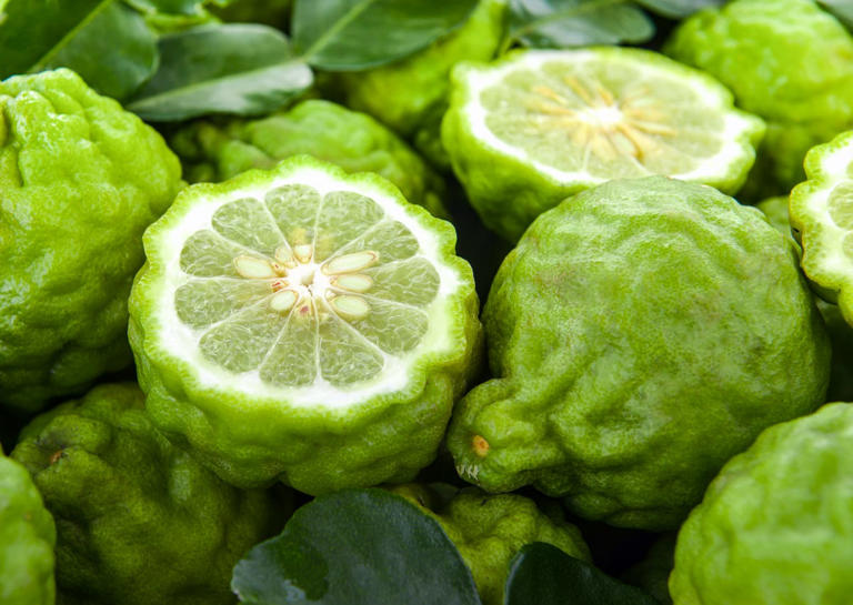 There Are Over 400 Varieties Of Oranges—Here's How & When To Use The ...