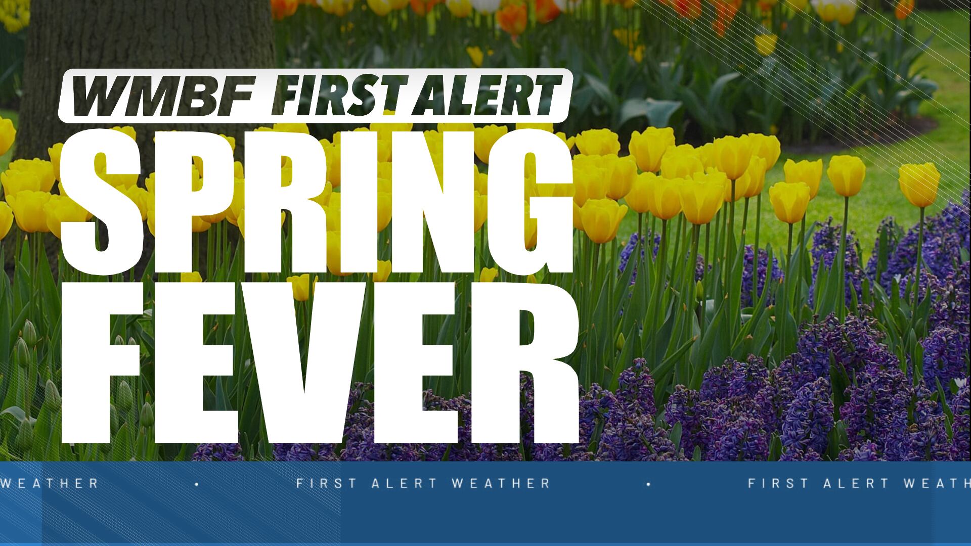 First alert: Spring fever settles in