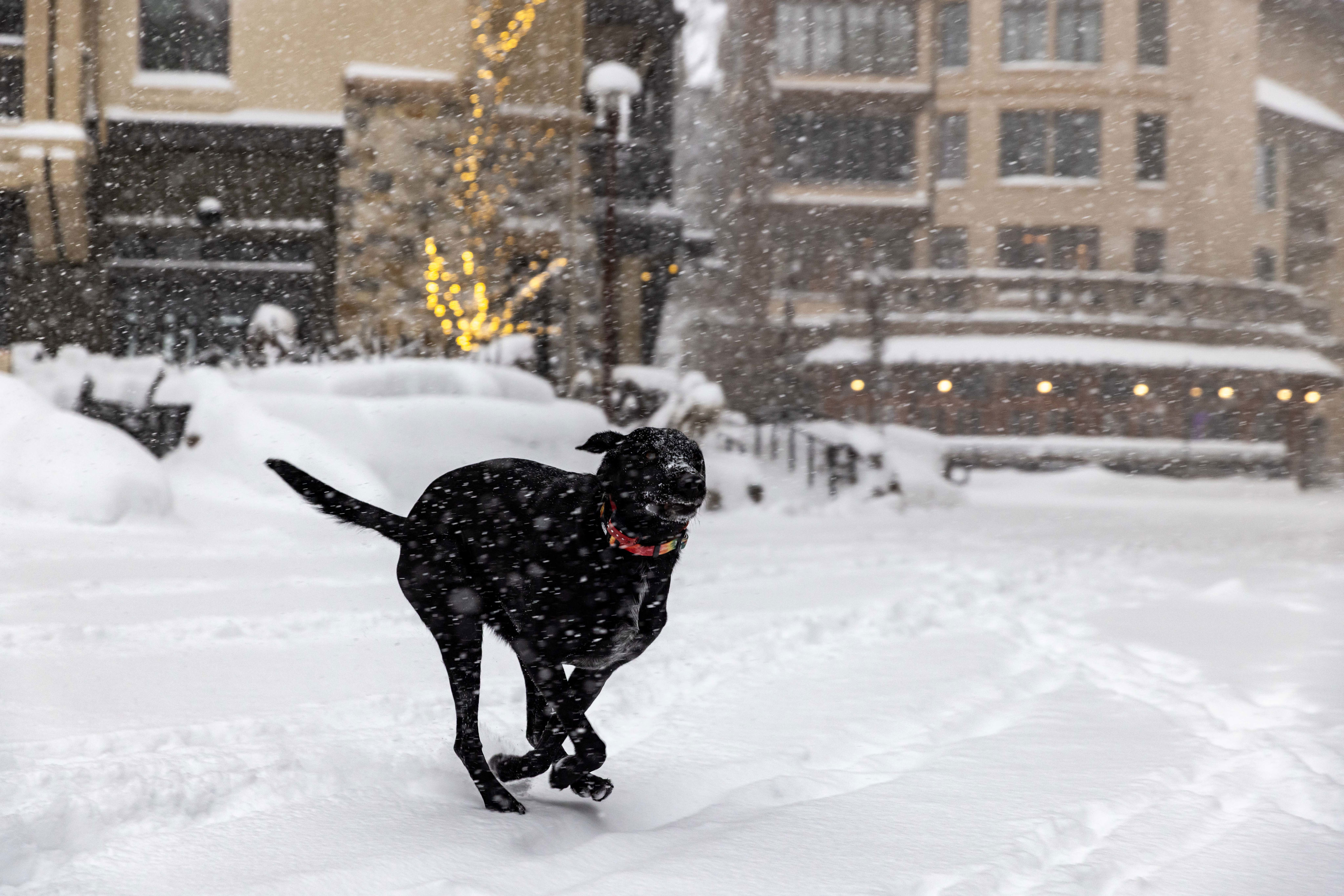 WCSD closes school for second day; I80, US50, 431 road conditions